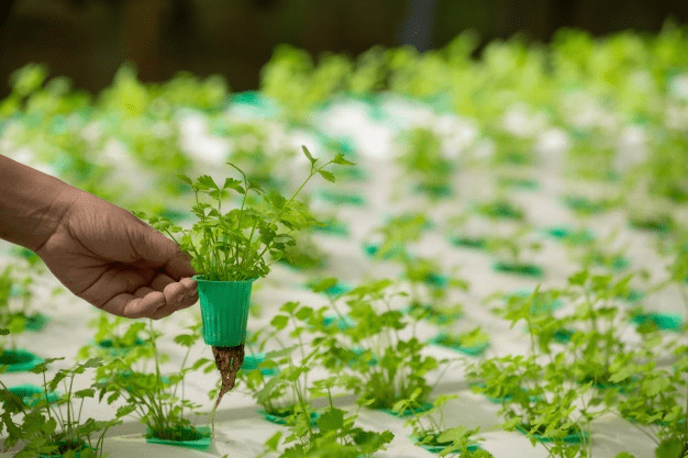 Vertical-Farming-could-help-solve-the-Food-Supply-Chain-Problem