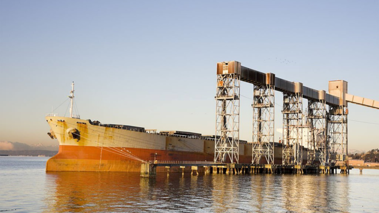 Despite Russian strike on Odesa, Ukraine resumes grain exports